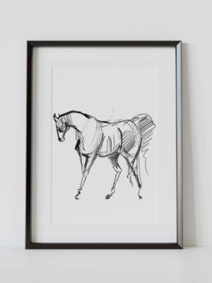Szkic koń