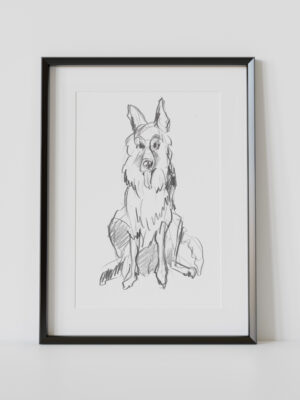 Owczarek niemiecki szkic